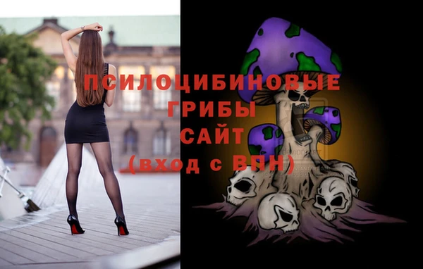 скорость Липки