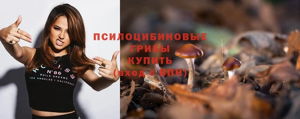 apvp Лихославль