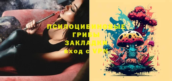 скорость Липки