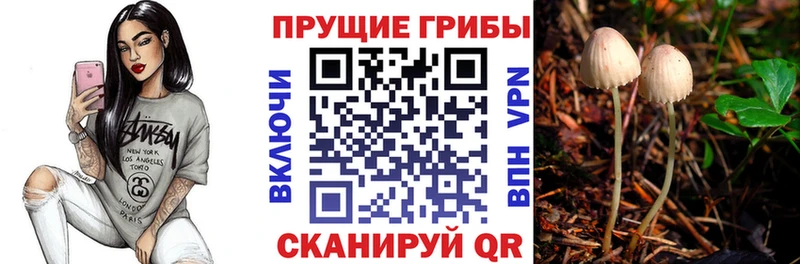 Галлюциногенные грибы Cubensis  что такое наркотик  Юрга 