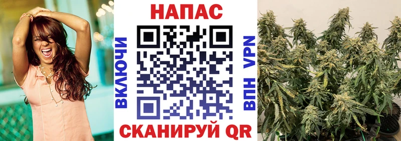 сколько стоит  Юрга  Бошки Шишки MAZAR 